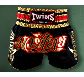 Шорты для тайского бокса Twins Special (T-154)